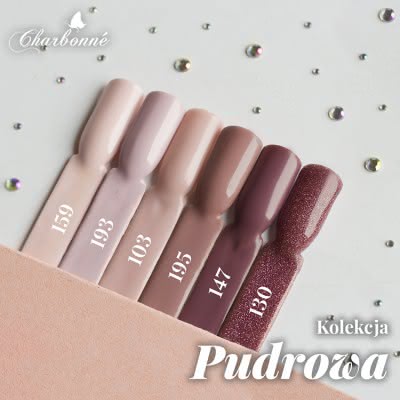 Kolekcja Pudrowa - zestaw hybryd