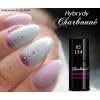 Lakier Hybrydowy CHARBONNE 7 ml kolor 134 delorean grey