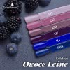 Kolekcja Owoce Leśne - zestaw hybryd