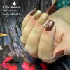 Lakier Hybrydowy CHARBONNE 7 ml Kolor 248 Toffi