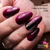 Lakier Hybrydowy CHARBONNE 15 ml Kolor 229 karminowy z drobinkami
