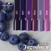 Kolekcja Jagodowa - zestaw hybryd
