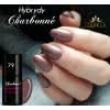 Lakier Hybrydowy CHARBONNE 7 ml kolor 079 fioletowy brąz perłowy