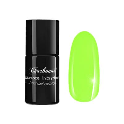 Lakier Hybrydowy CHARBONNE 15 ml Kolor 241
