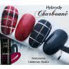Lakier Hybrydowy CHARBONNE 7 ml kolor 172 Restless Ocean