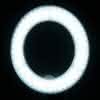 Lampa pierścieniowa Ring light 10' 8W led biała