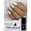 Lakier Hybrydowy CHARBONNE 7 ml kolor 066 złoty kryjący metaliczny