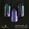 Lakier Hybrydowy CHARBONNE magnetyczny 7 ml Kolor C12 Premium CAT EYE