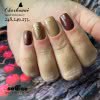 Lakier Hybrydowy CHARBONNE 7 ml Kolor 248 Toffi