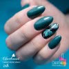 Lakier Hybrydowy CHARBONNE 15 ml Kolor 218 Choinkowa zieleń