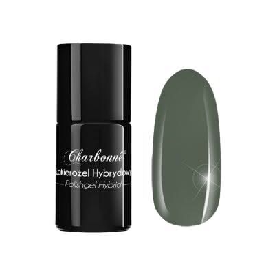 Lakier Hybrydowy CHARBONNE 15 ml kolor 069 szara zieleń malachitowa