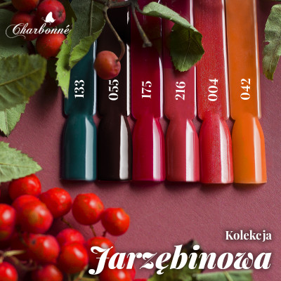 Kolekcja Jarzębinowa  - zestaw hybryd