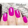 Lakier Hybrydowy CHARBONNE 15 ml kolor 119 jagodowe lato