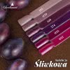 Kolekcja Śliwkowa - zestaw hybryd