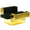 Kufer comfort z przegródkami diamond gold 3D