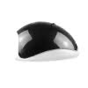 Lampa UV LED wyświetlacz 48W czarna 2 gatunku