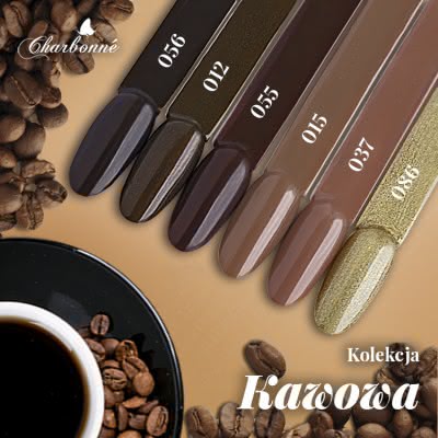 Kolekcja Kawowa - zestaw hybryd