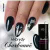 Lakier Hybrydowy CHARBONNE 7 ml kolor 172 Restless Ocean