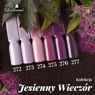 Kolekcja Jesienny Wieczór - zestaw hybryd