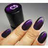 Lakier Hybrydowy CHARBONNE magnetyczny 15 ml kolor C5 SERIA CAT EYE