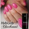 Lakier Hybrydowy CHARBONNE 15 ml kolor 018 różowy ciemny