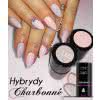 Lakier Hybrydowy CHARBONNE 15 ml kolor 160 - Frozen Beige