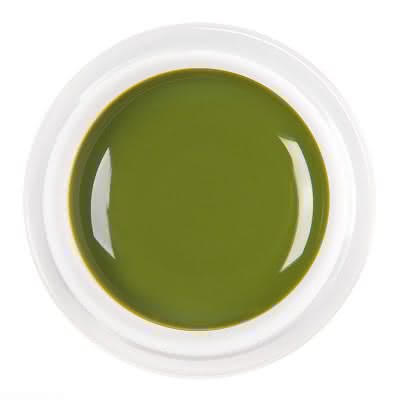 Żel kolorowy / paint żel 5 ml - nr 049 - oliwkowa zieleń