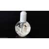 Oliwka z muszlami w kuli 75 ml