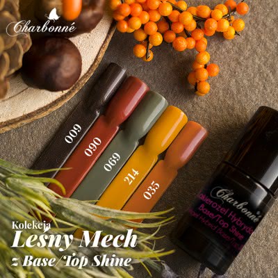 Kolekcja Leśny Mech z Base/Top Shine - zestaw hybryd