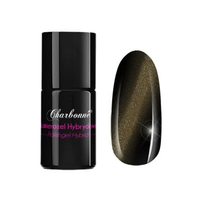 Lakier Hybrydowy CHARBONNE magnetyczny 15 ml kolor C4 SERIA CAT EYE