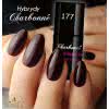 Lakier Hybrydowy CHARBONNE 15 ml kolor 177 Dark Plum Shimmer