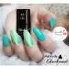Lakier Hybrydowy CHARBONNE 15 ml kolor 111 miętowy turkus