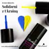 Zestaw hybrydowy "Solidarni z Ukrainą"