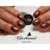 Lakier Hybrydowy CHARBONNE 7 ml kolor 079 fioletowy brąz perłowy
